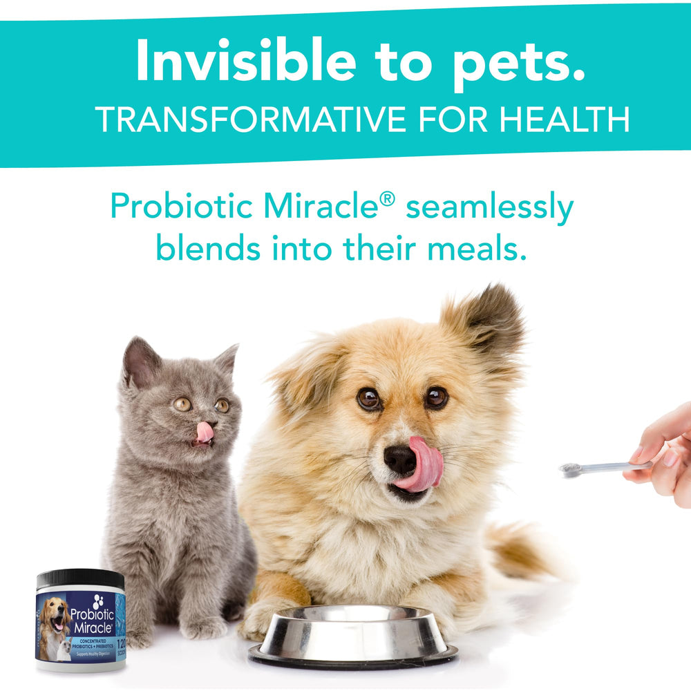 NUSENTIA Probiotiques – Compatible avec oméga-3 et autres compléments.