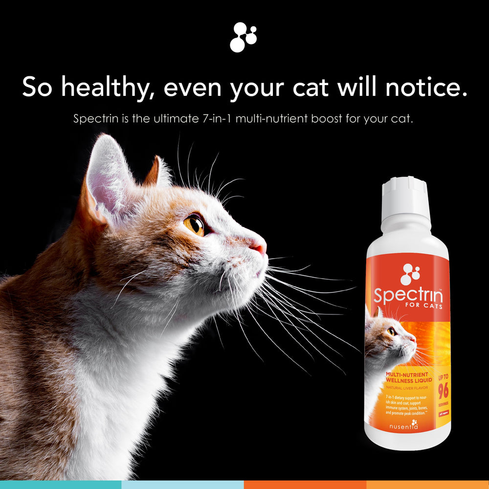NUSENTIA Spectrin pour chats : antioxydants et nutriments au quotidien.