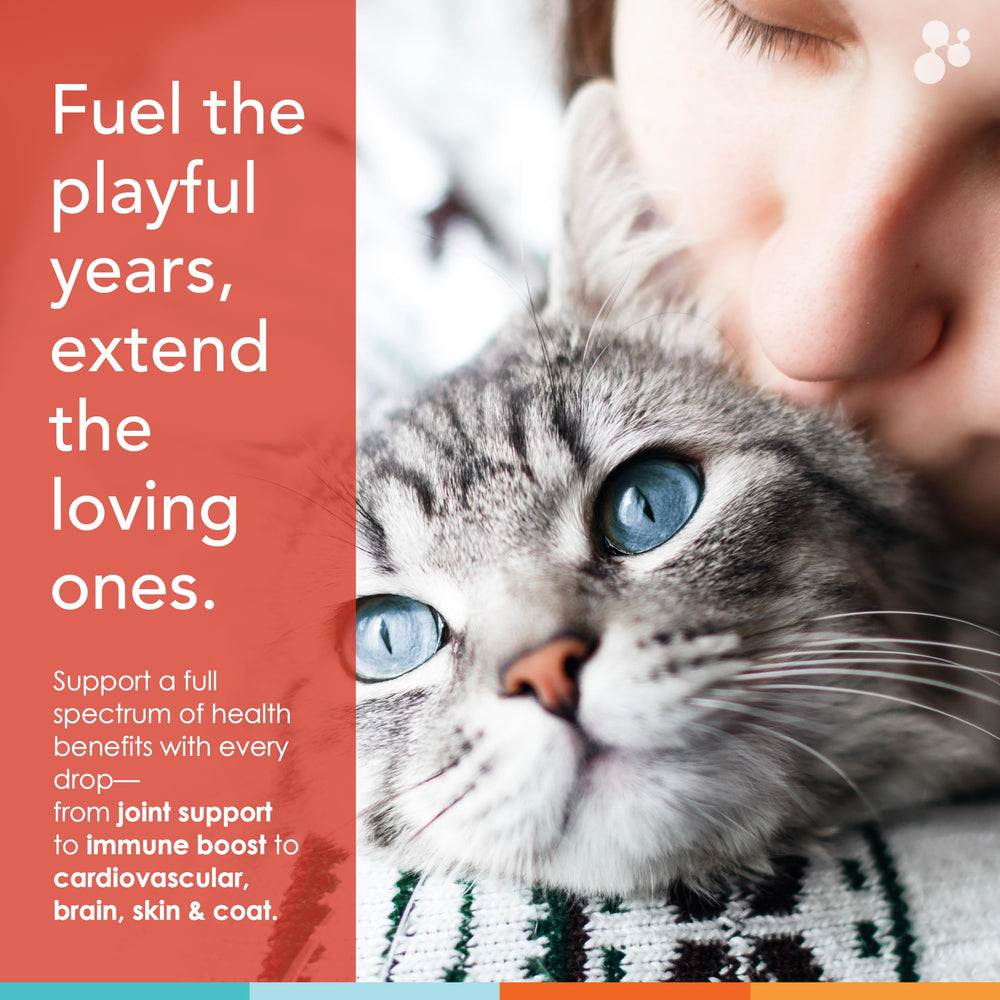 NUSENTIA Spectrin pour chats : aide potentielle pour allergies et inconfort cutané.