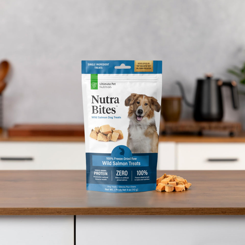 Nutra Bites Saumon: récompense quotidienne pratique et savoureuse.