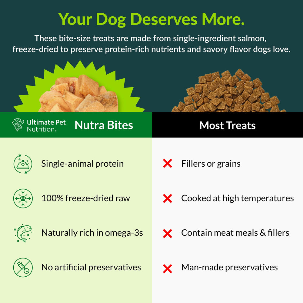 Nutra Bites Saumon: texture naturelle appréciée par les chiens gourmands.