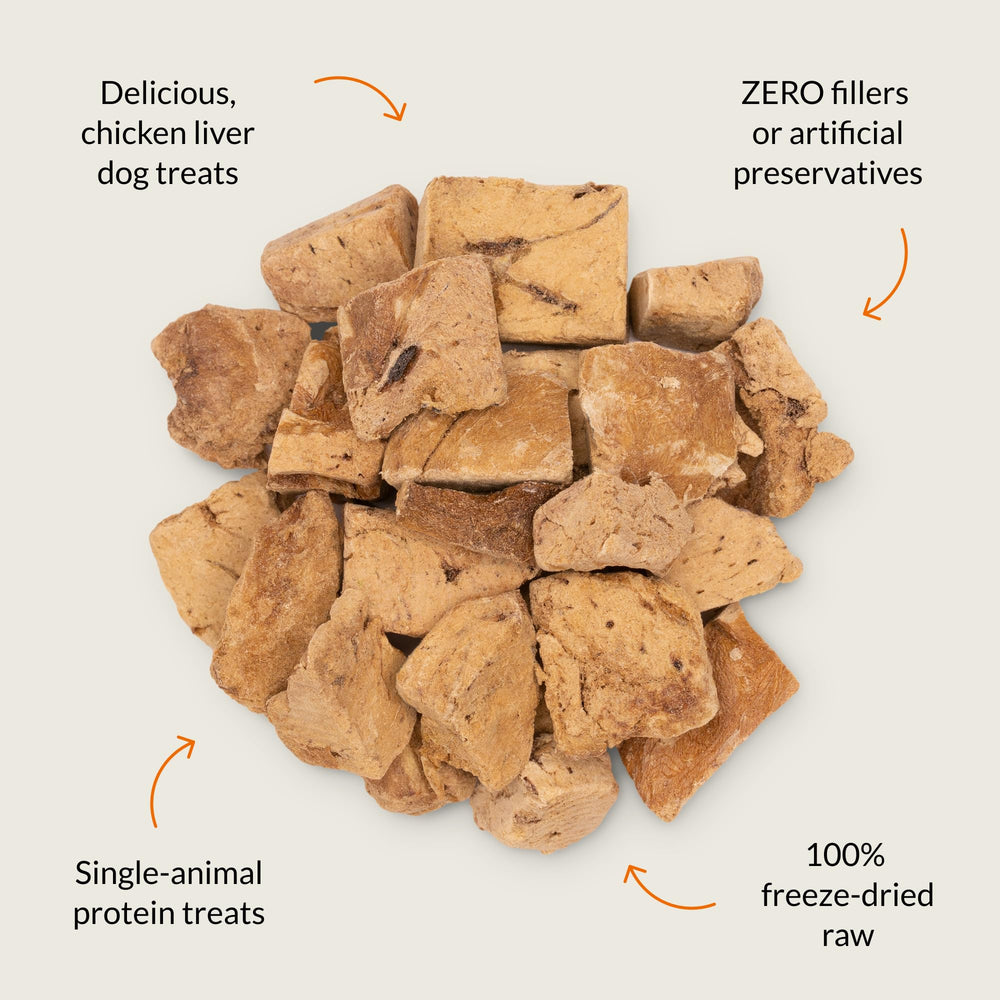 Nutra Bites – texture lyophilisée qui préserve les arômes pour chiens gourmands.