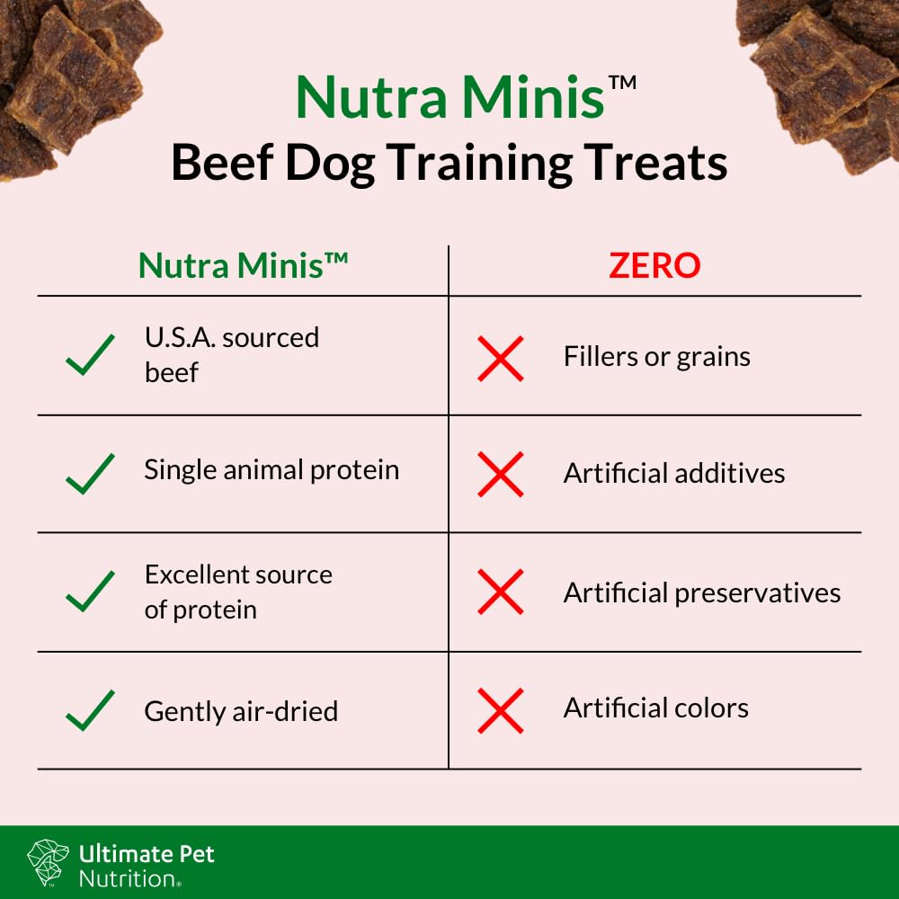 Entraînement et récompense avec Nutra Minis Boeuf lors des séances.