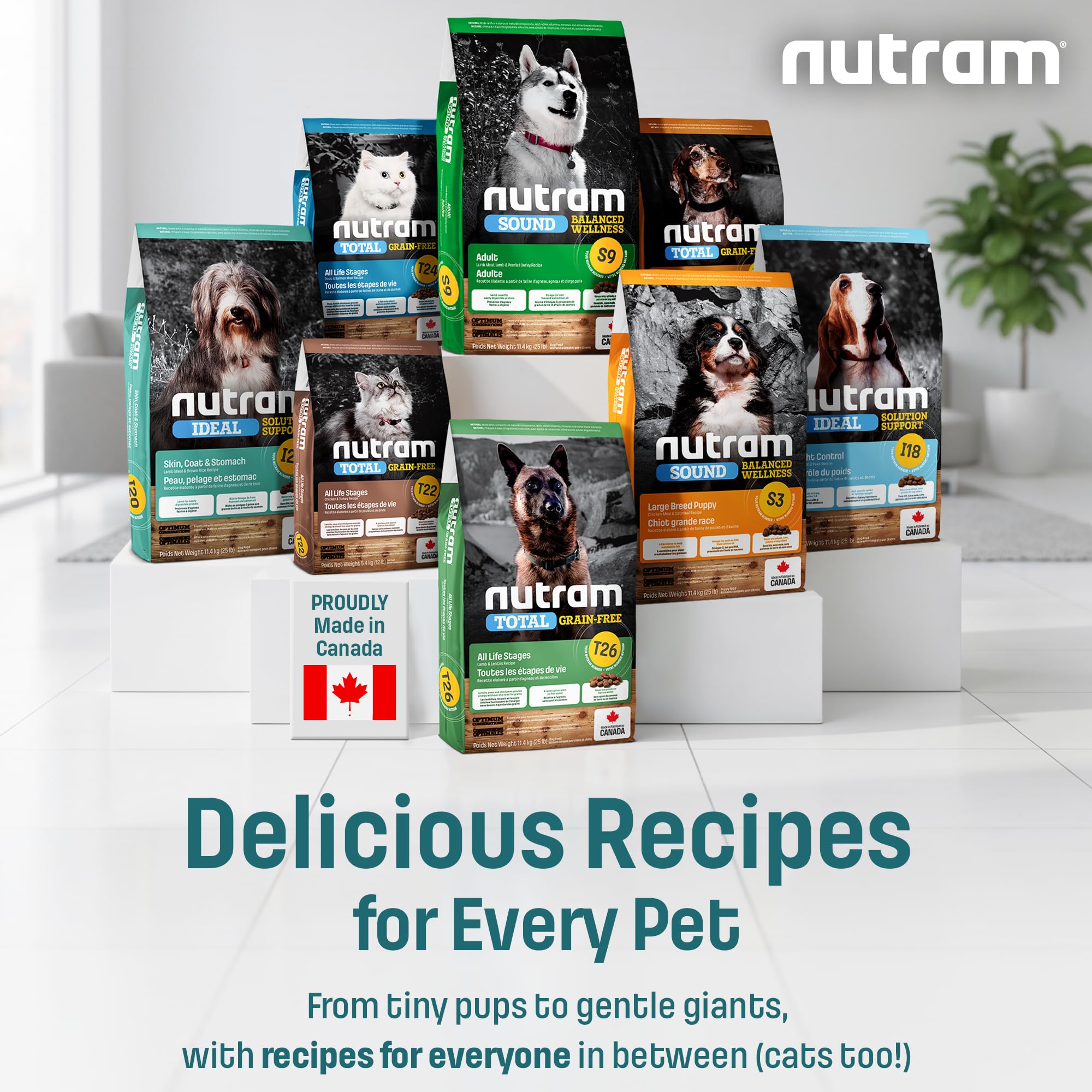 Nutram T28 sans tapioca, ingrédients faciles à digérer