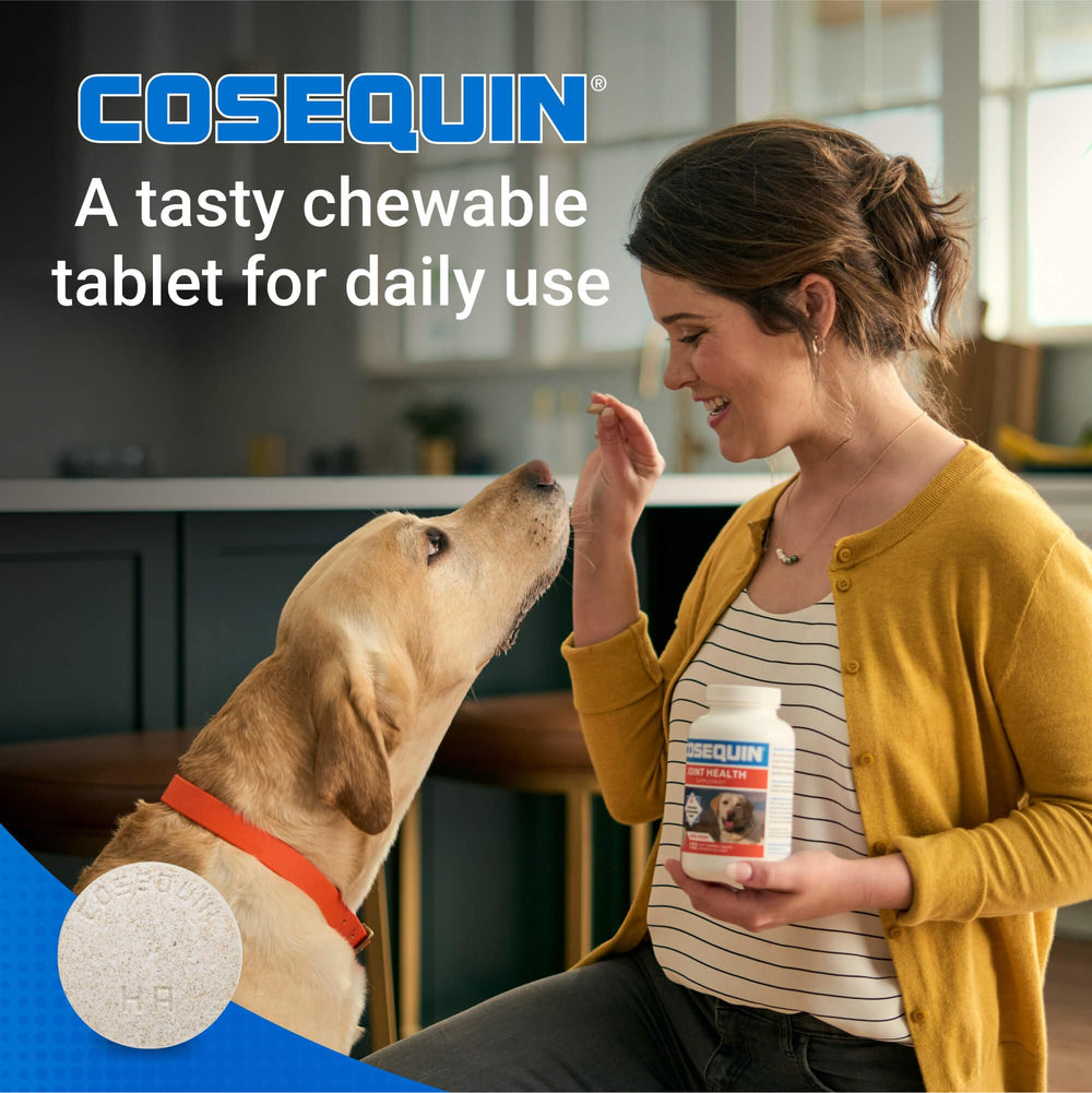 Nutramax Cosequin – acide hyaluronique soutenant le liquide articulaire.
