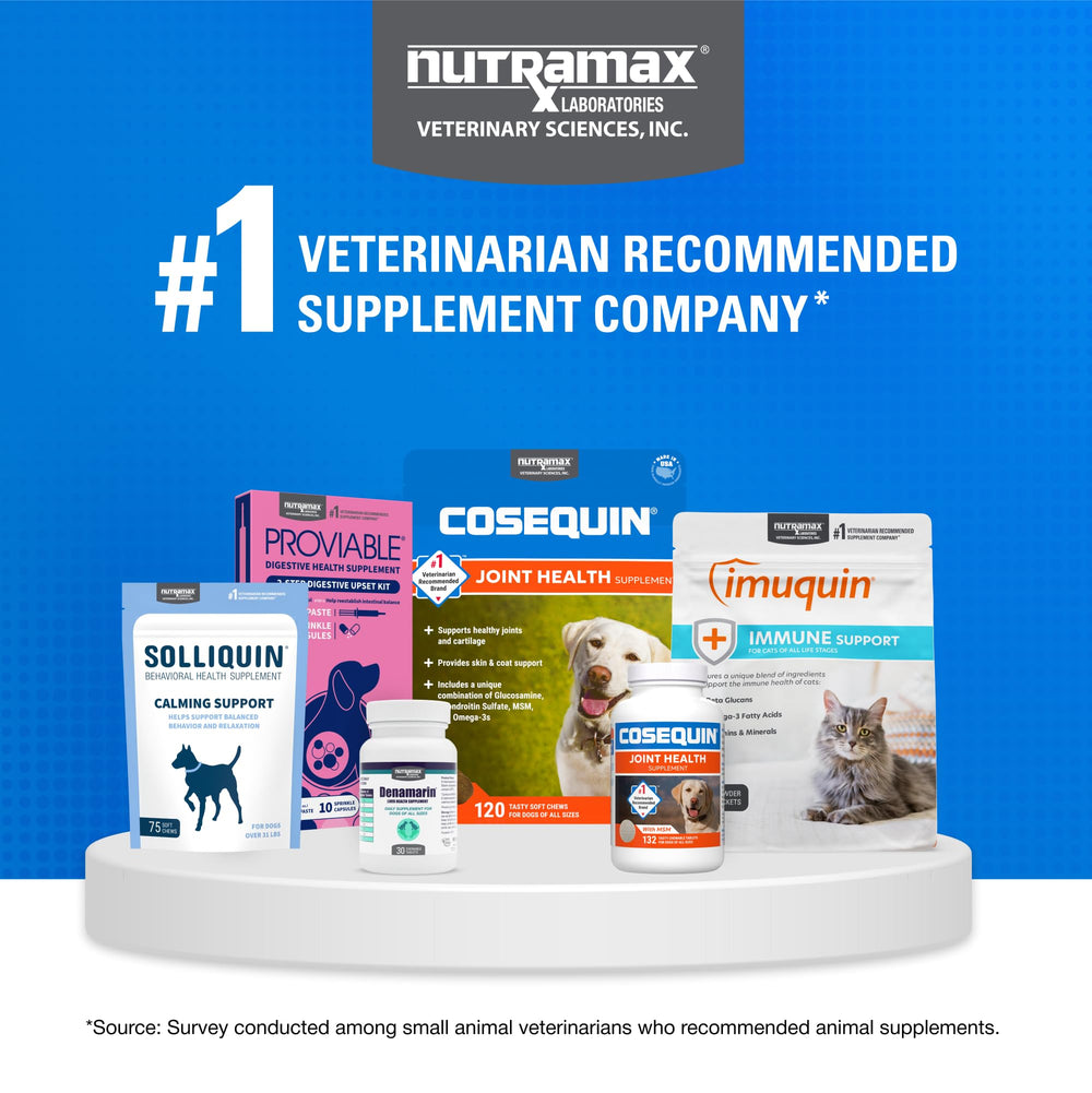Nutramax Cosequin Chats – administration quotidienne simplifiée.