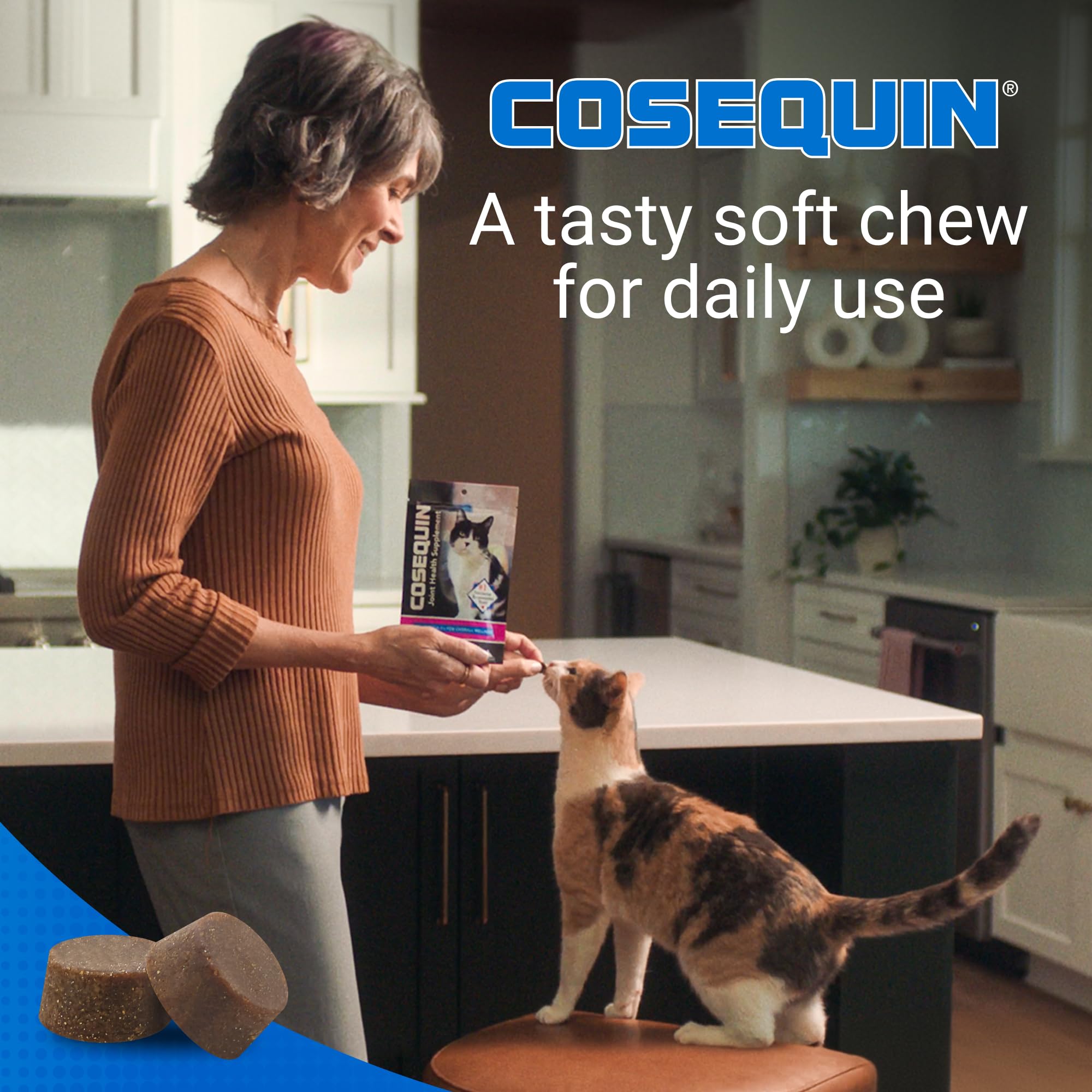 Cosequin Chats – texture adaptée et utilisation pour articulations et oméga-3.