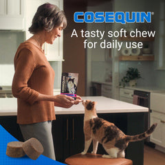 Cosequin Chats – texture adaptée et utilisation pour articulations et oméga-3.