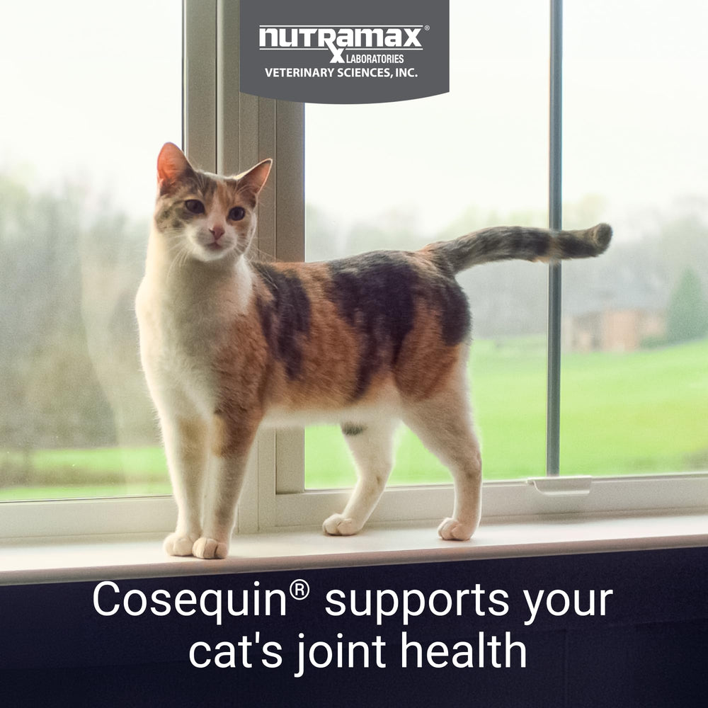Cosequin pour chats – bouchées douces faciles à administrer.