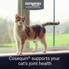 Cosequin pour chats – bouchées douces faciles à administrer.
