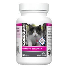 Nutramax Cosequin pour Chats: bouteille visible pour soutenir les articulations et la mobilité.