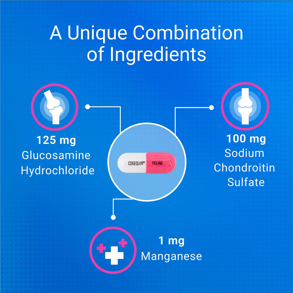 Nutramax Cosequin Chat : dosage quotidien pratique
