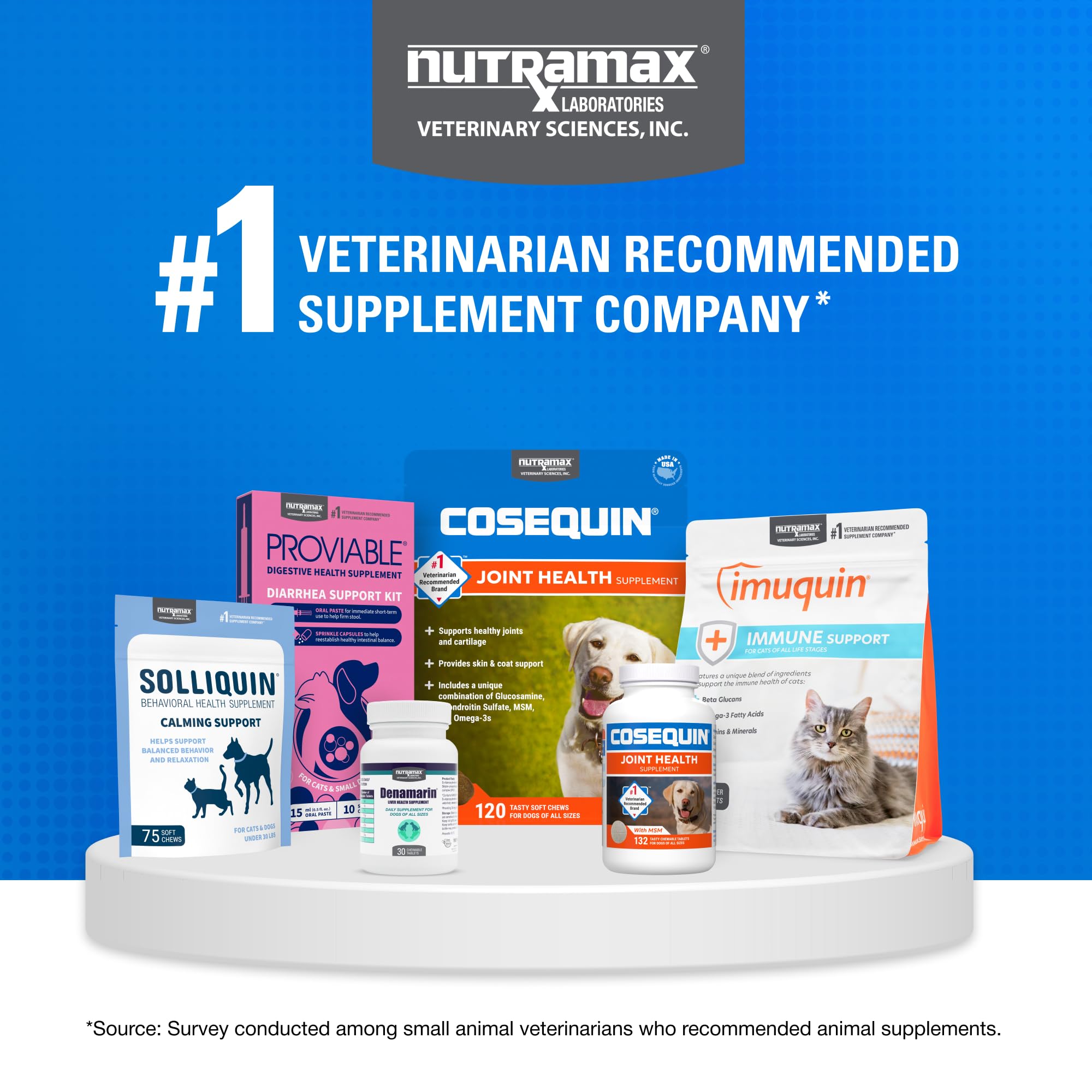 Nutramax Cosequin pour chats - dosage pratique à ajouter au repas quotidien.