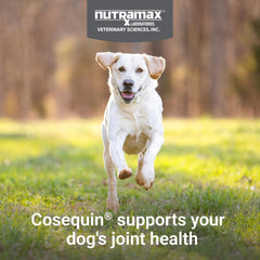 Nutramax Cosequin – chiens de toutes tailles, support potentiel des articulations.