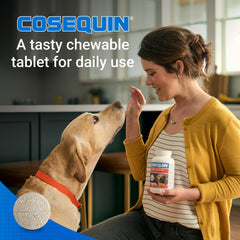 Nutramax Cosequin – glucosamine et chondroïtine, ingrédients clés pour le soutien des articulations.