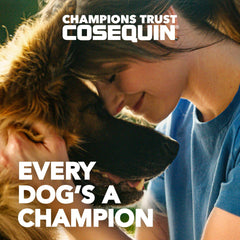 Nutramax Cosequin – soutien du cartilage pour chiens, formulation durable.