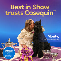 Nutramax Cosequin DS 250, chien sur escalier, soutien potentiel à la mobilité lors des trajets quotidiens.