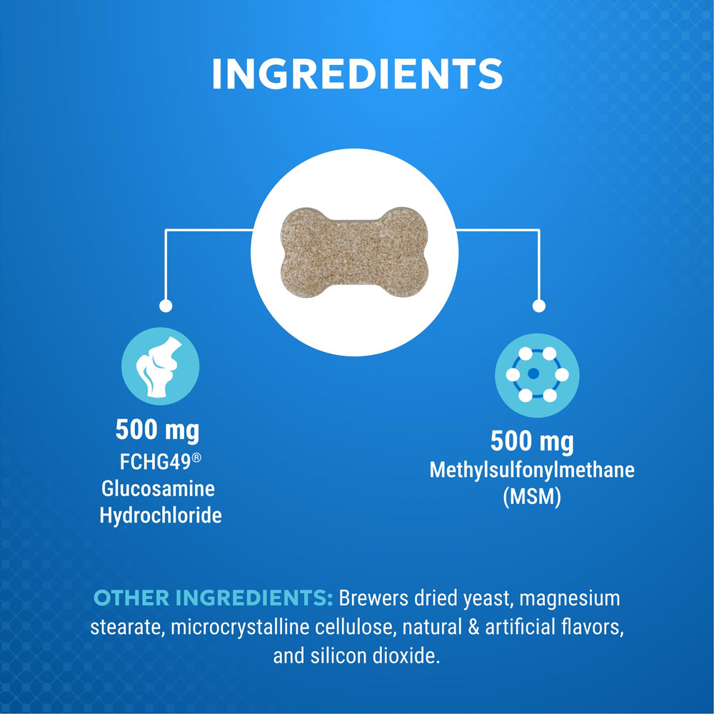 Nutramax Cosequin Elements – Chien en mouvement: usage quotidien pour demeurer actif.