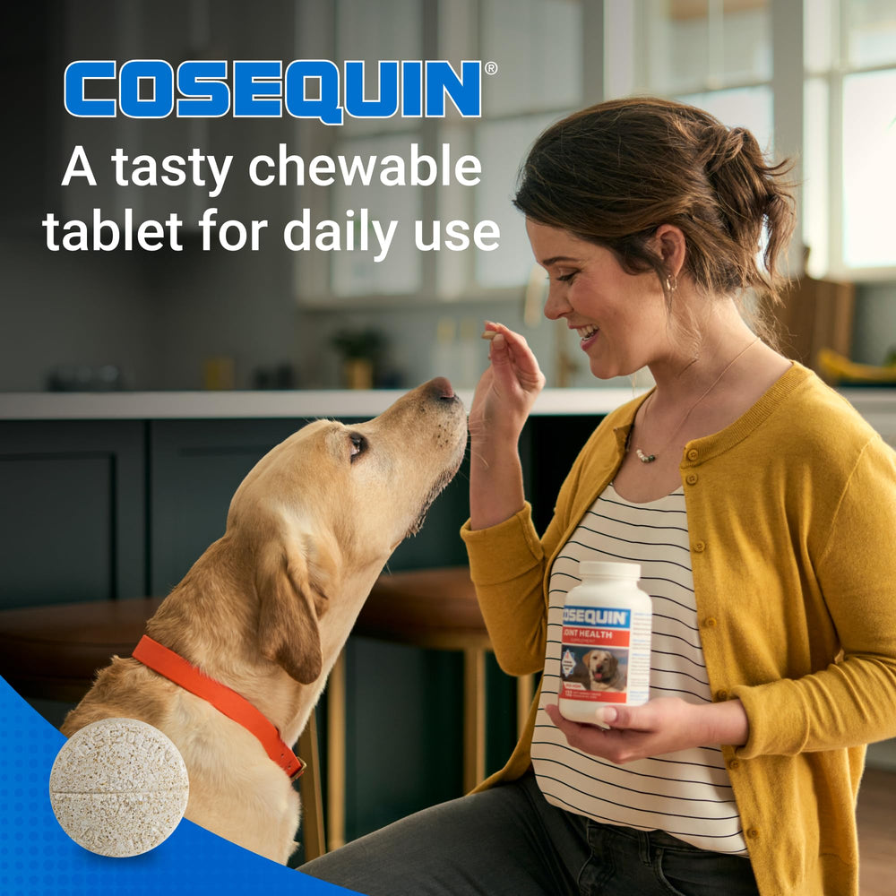 Ingrédients glucosamine chondroïtine MSM présents dans Cosequin
