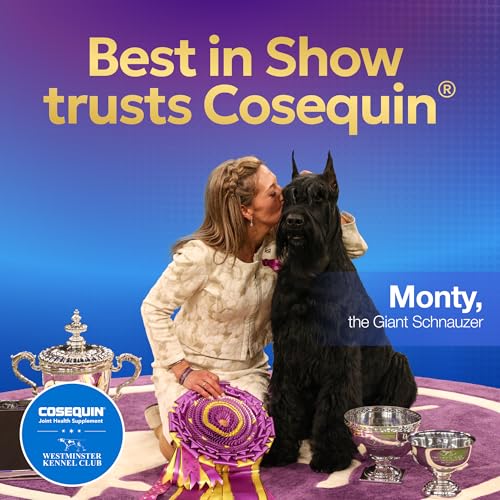 Petits chiens, friandises Cosequin Minis offrant une routine agréable et potentielle bienestar.