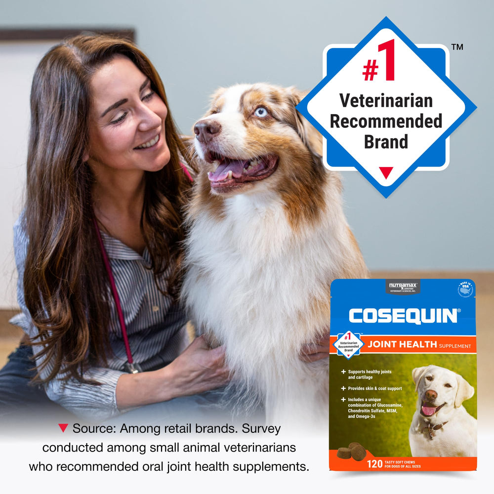 Nutramax Cosequin – oméga-3 pour peau et pelage sains.
