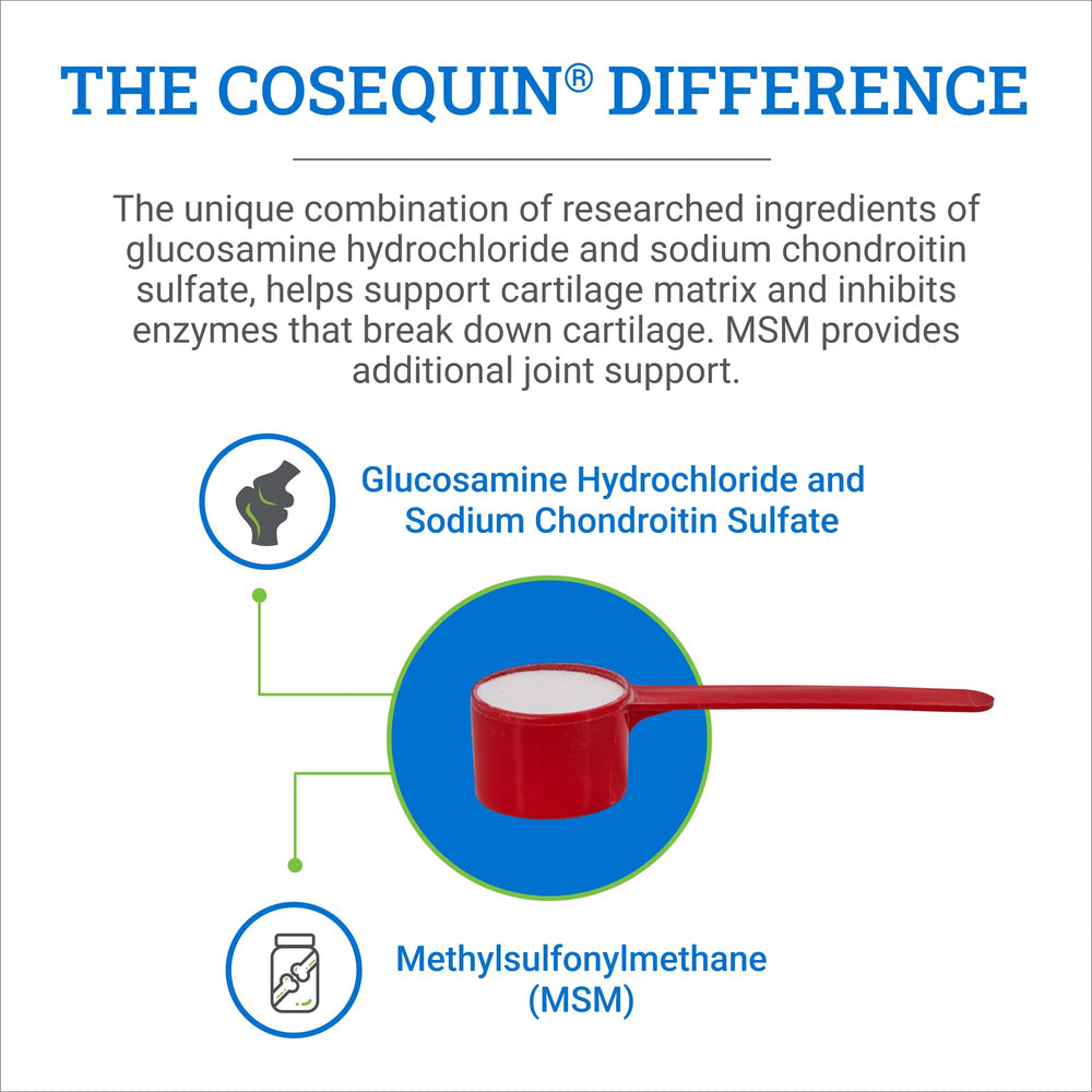 Ingrédients glucosamine et chondroïtine, soutiens possibles des articulations.