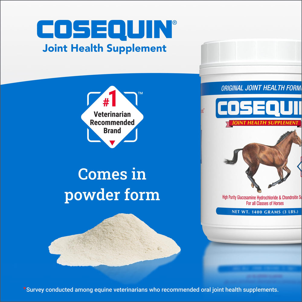 Nutramax Cosequin Original – Utilisation quotidienne possible pour chevaux sportifs et de loisir