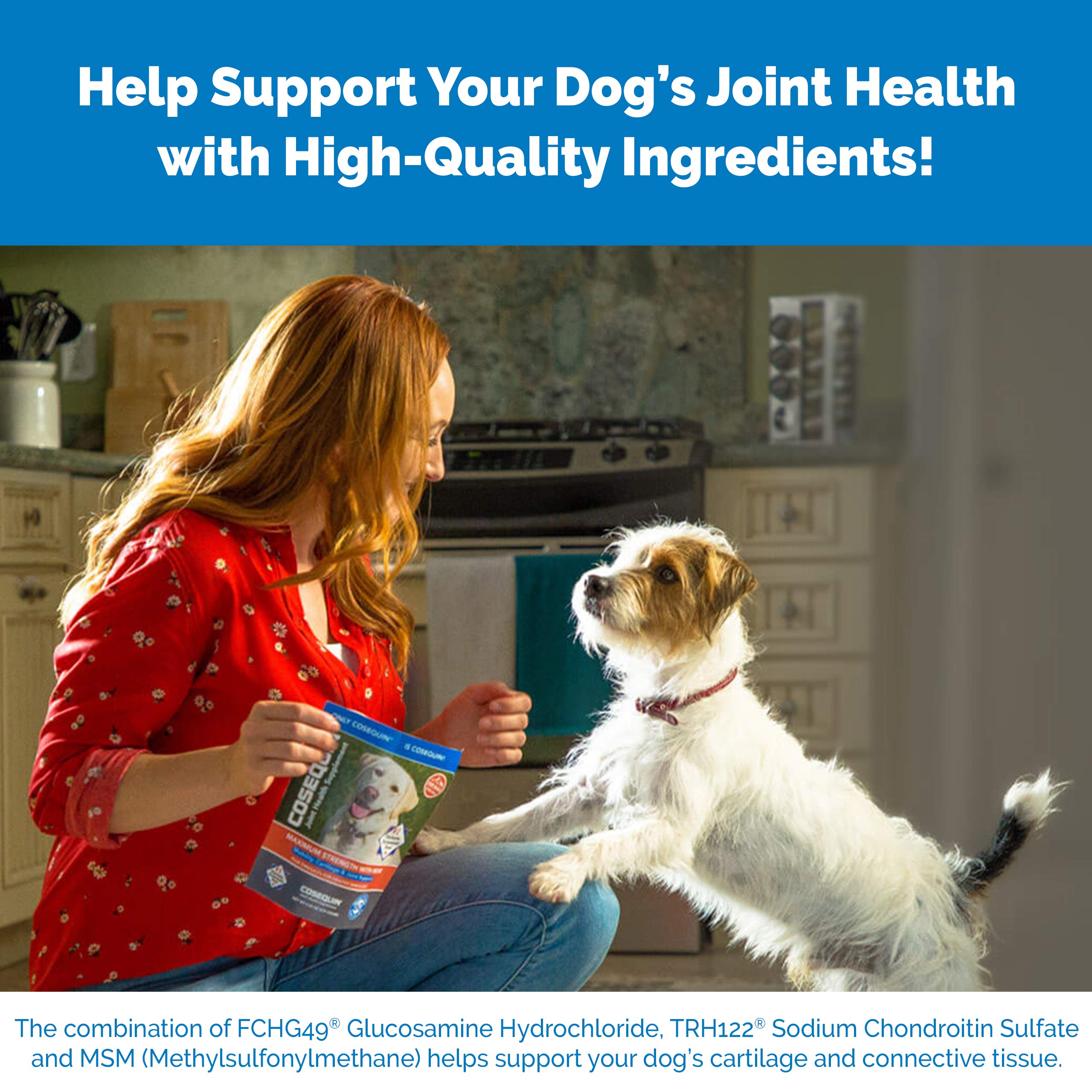 Nutramax Cosequin convient chiens et chats de petite taille avec administration simplifiée.