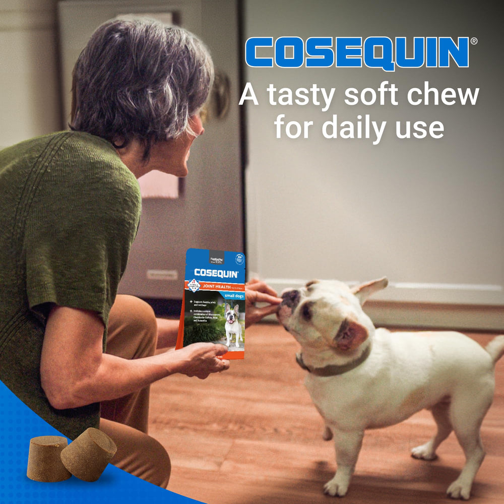 Cosequin Plus MSM & Boswellia Mini mélange glucosamine et chondroïtine pour articulations.