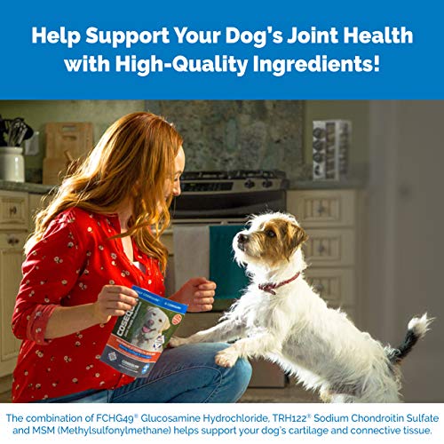 Nutramax Cosequin — soutien articulations pour tous les chiens, du chiot au senior.