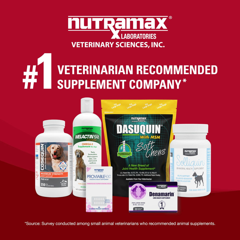 Nutramax Crananidin: routine quotidienne simple pour chiens de toutes tailles