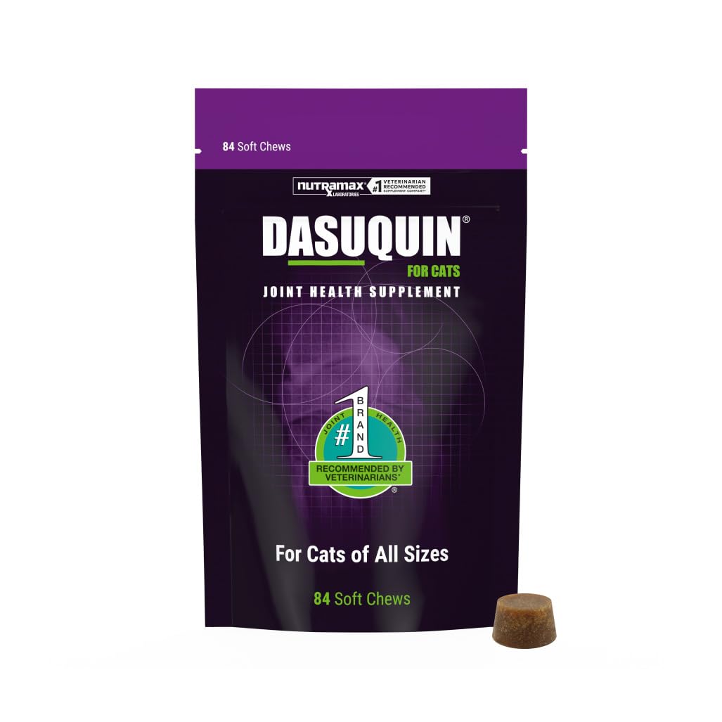 Nutramax Dasuquin chat sur l’emballage, soutien articulaire potentiel.