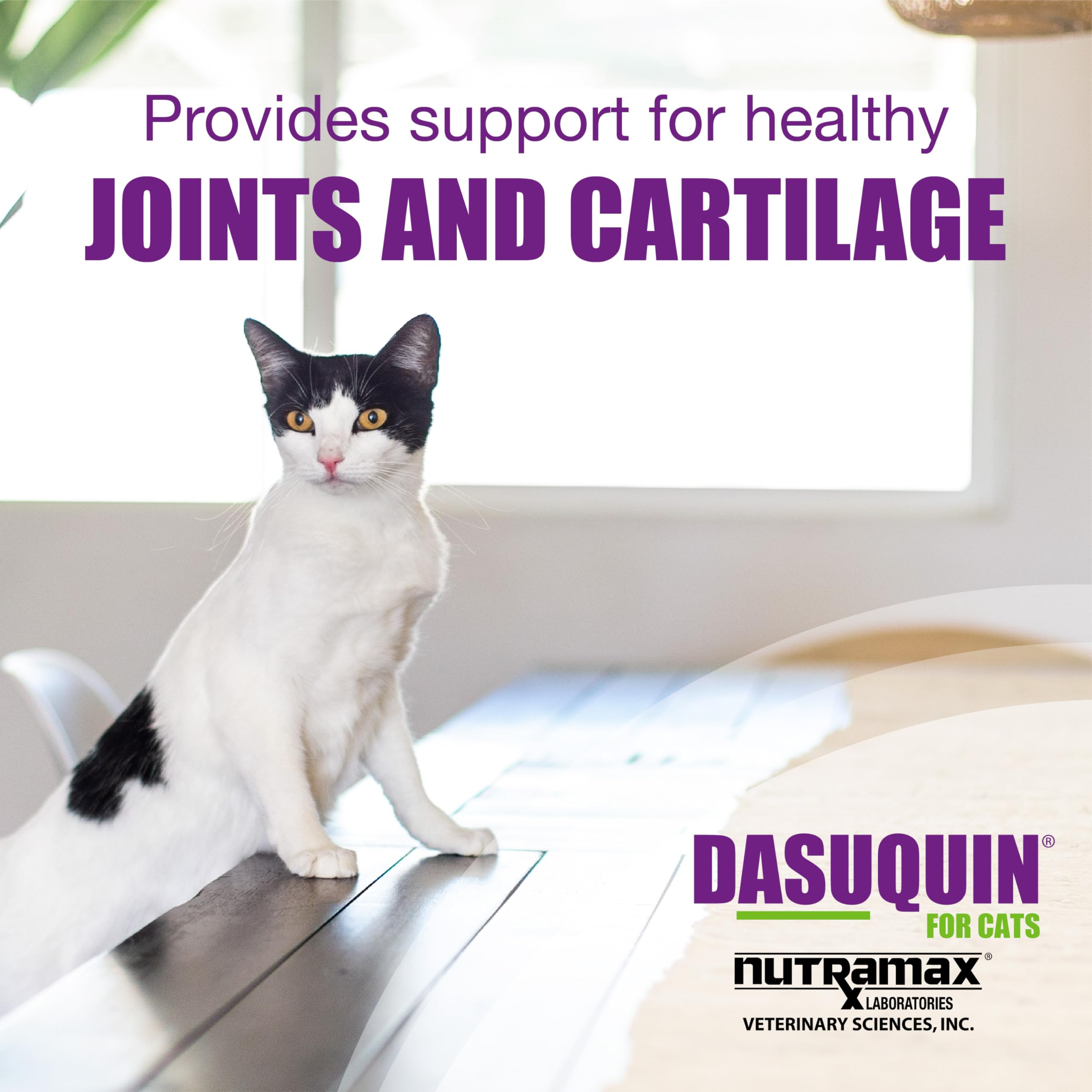 Nutramax Dasuquin chat, ingrédients clés glucosamine et chondroïtine pour les articulations.