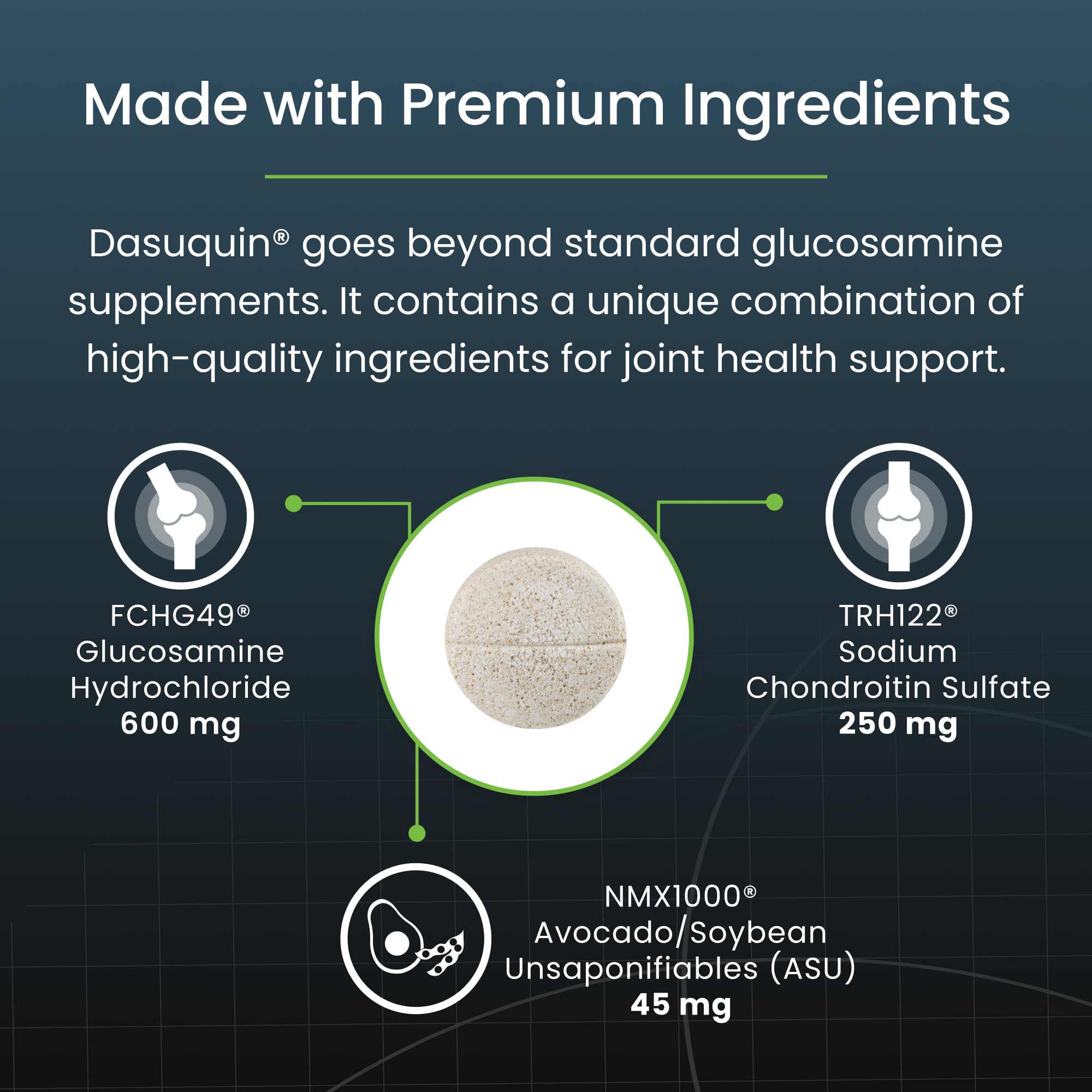 Nutramax Dasuquin – chien en mouvement, soutien potentiel lors des activités.