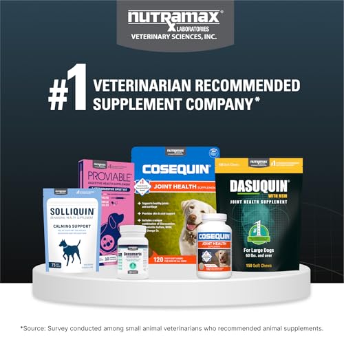 Nutramax Dasuquin – comprimés à mâcher pour chiens, administration simple