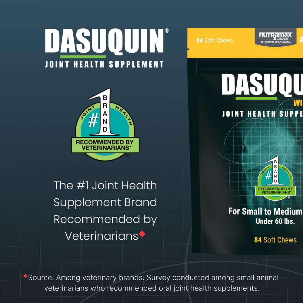 Nutramax Dasuquin – étiquette claire avec les informations produit.