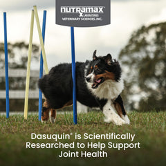 Nutramax Dasuquin – emballage clair pour comprendre les ingrédients et l'utilisation.