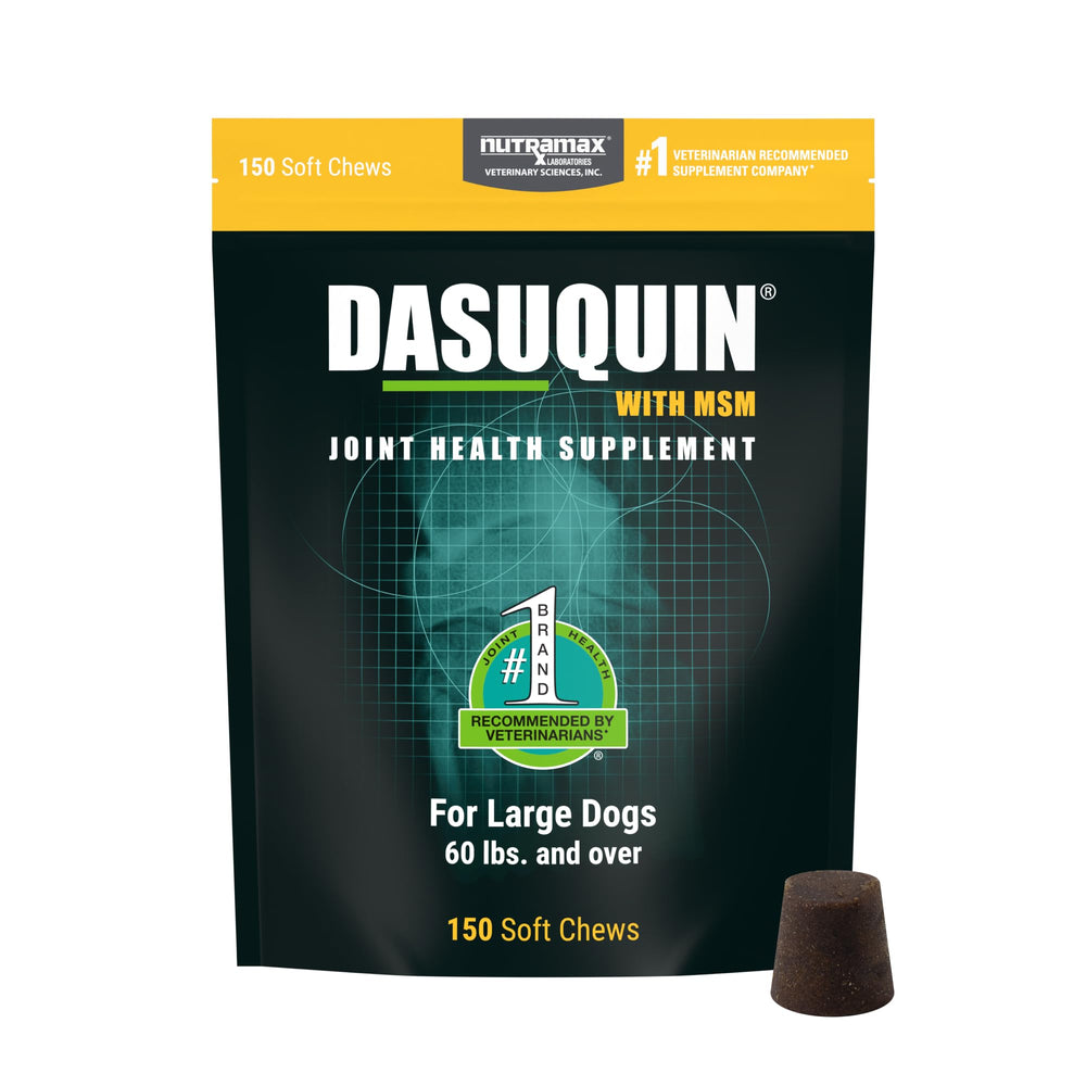Nutramax Dasuquin flacon gommes pour chiens grands, soutien articulaire quotidien.