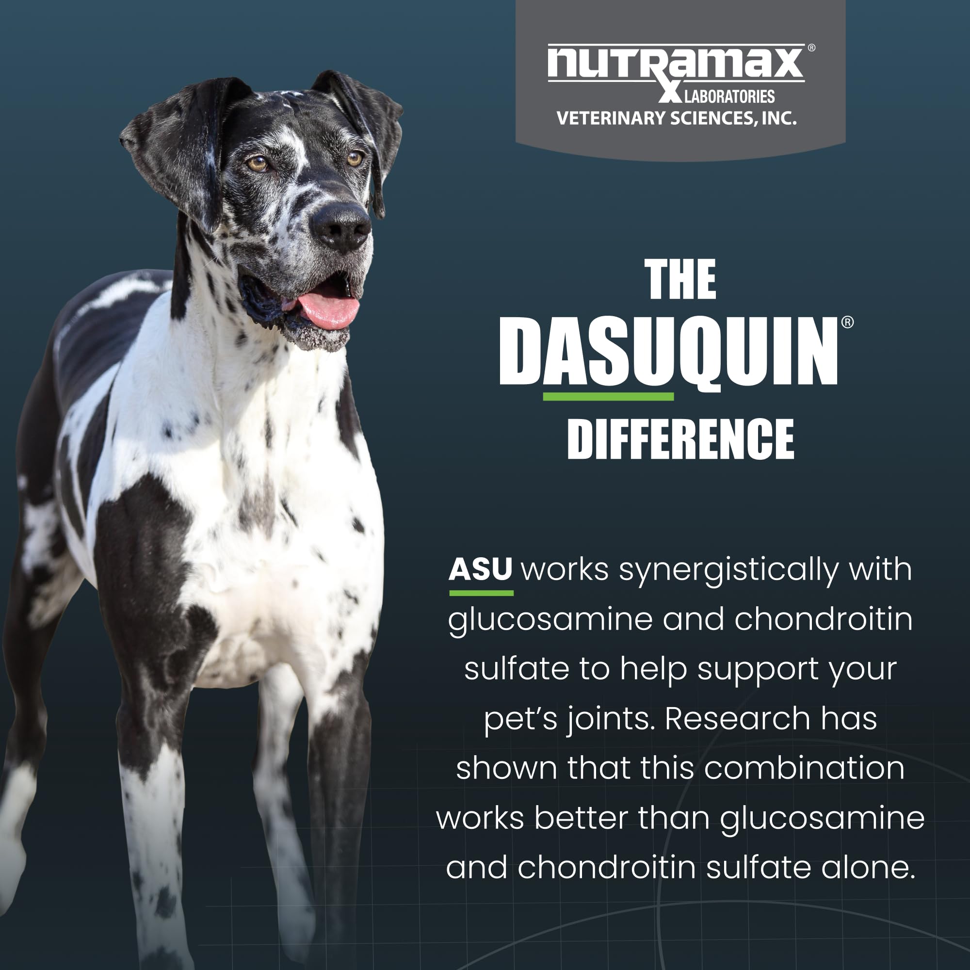 Nutramax Dasuquin – friandises adaptées à l'activité sportive du chien.
