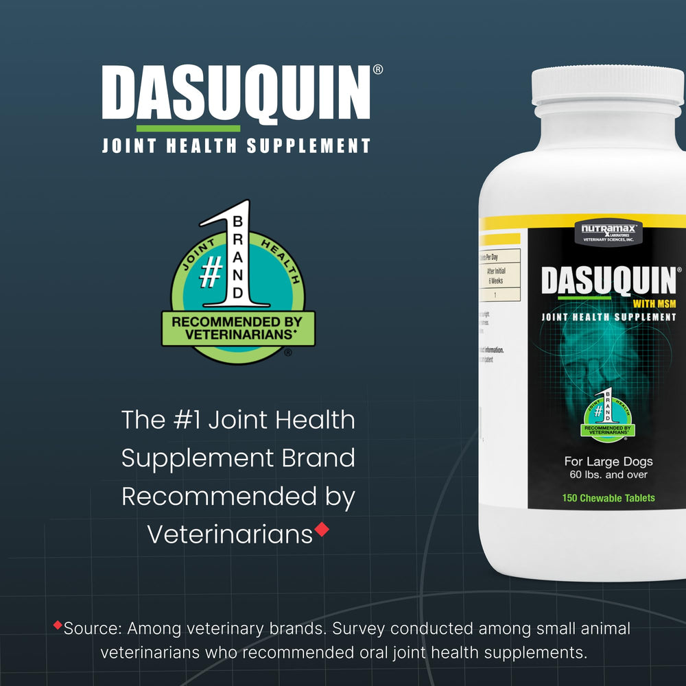 Nutramax Dasuquin grand chien – chien reçoit le complément dans une routine quotidienne.