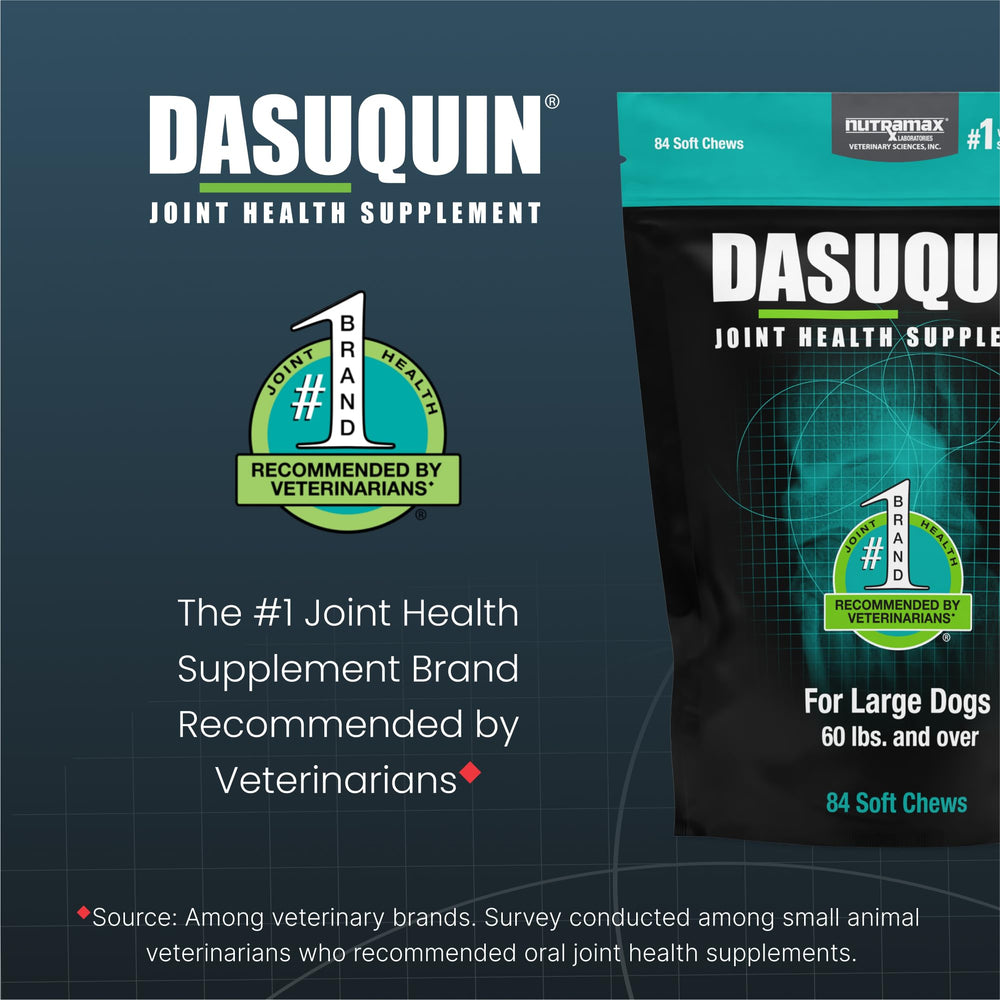 Nutramax Dasuquin gommes appétentes—facilité d’administration et soutien articulaire