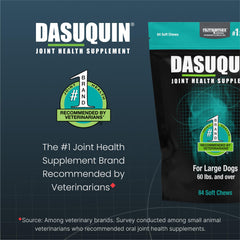 Nutramax Dasuquin gommes appétentes—facilité d’administration et soutien articulaire