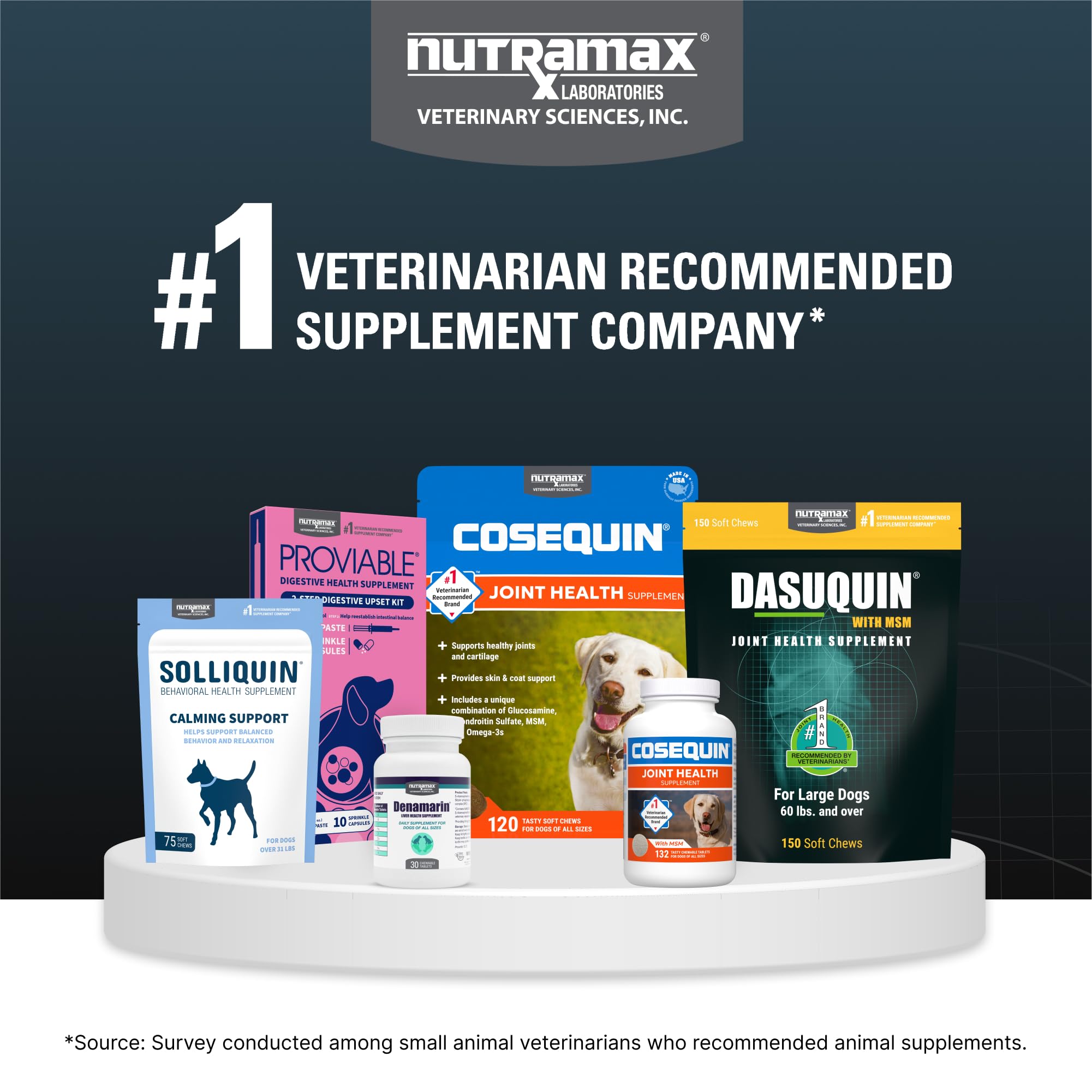 Nutramax Dasuquin soutien activité quotidienne—pour grands chiens