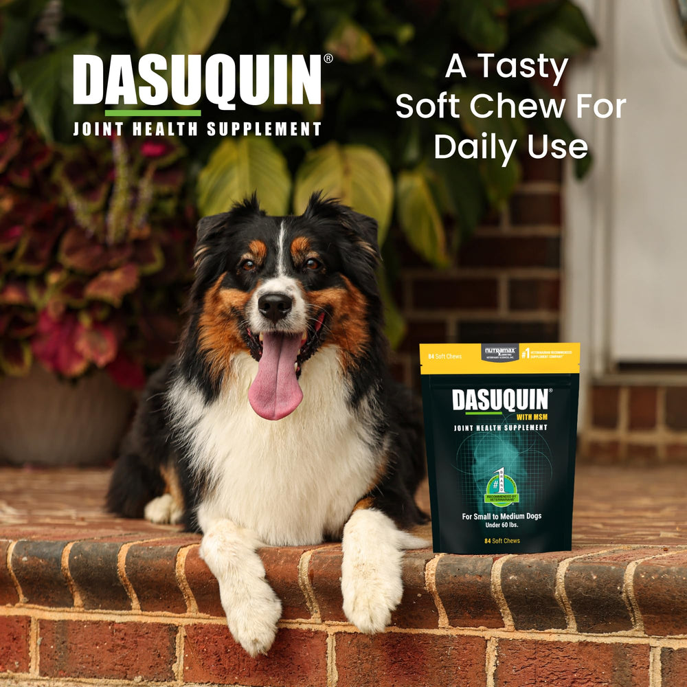 Nutramax Dasuquin – ingrédients actifs FCHG49, TRH122 et ASU.