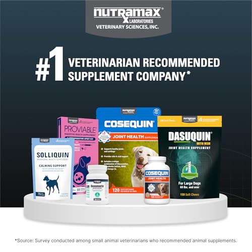 Nutramax Dasuquin – promenade et bien-être du chien après administration.