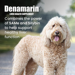 Nutramax Denamarin: bouteille avec étiquette pour chien pratique.
