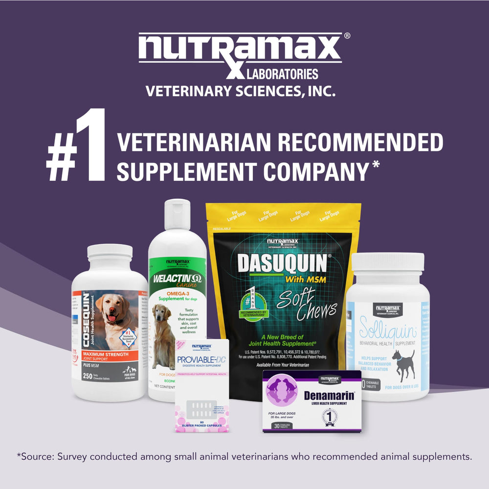 Nutramax Denamarin — produit recommandé par les vétérinaires pour le foie