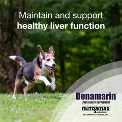 Nutramax Denamarin — SAM-e et silybine, absorption meilleure chez les chiens