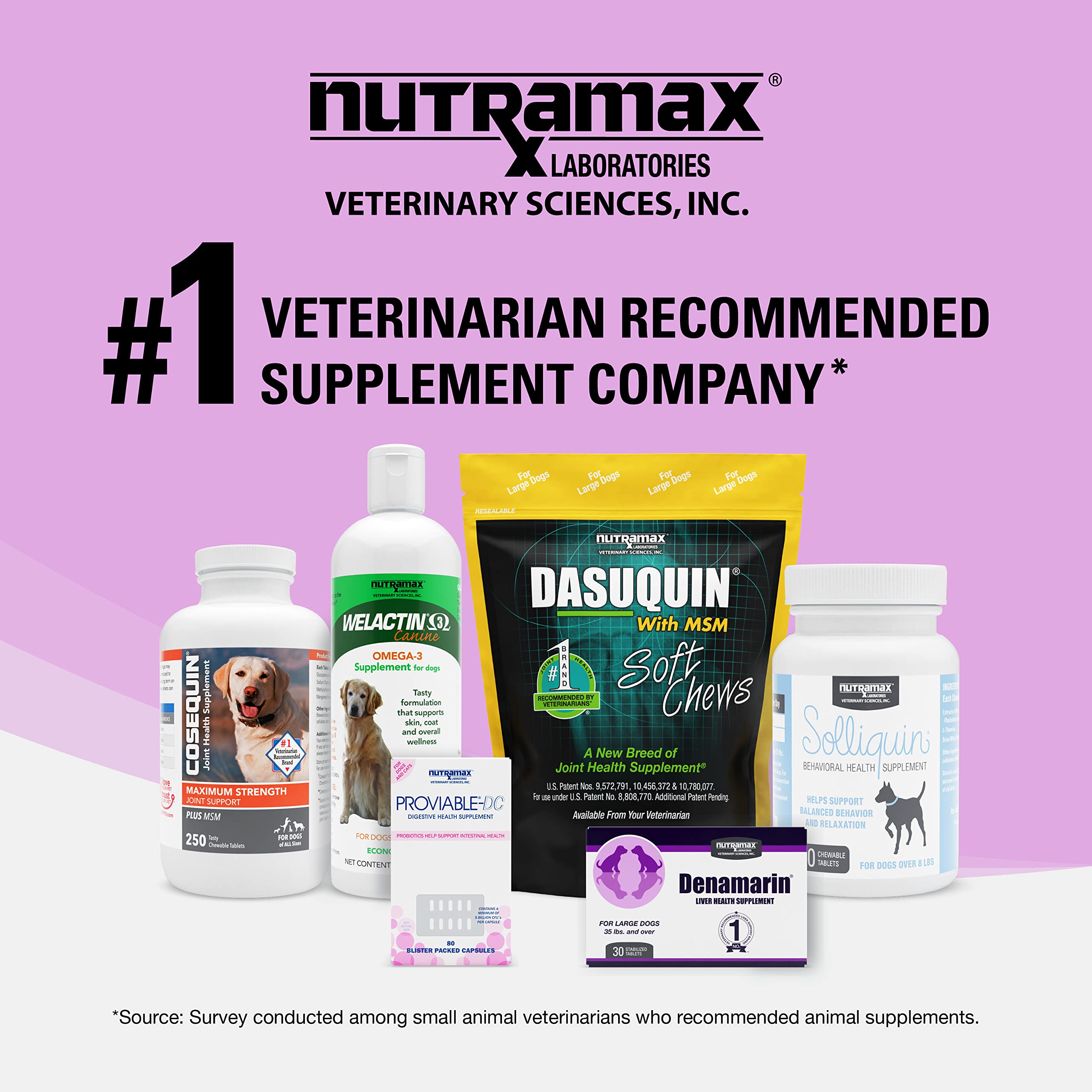 Nutramax Denosyl - detail-tablette, met en évidence la forme et la teneur SAMe.