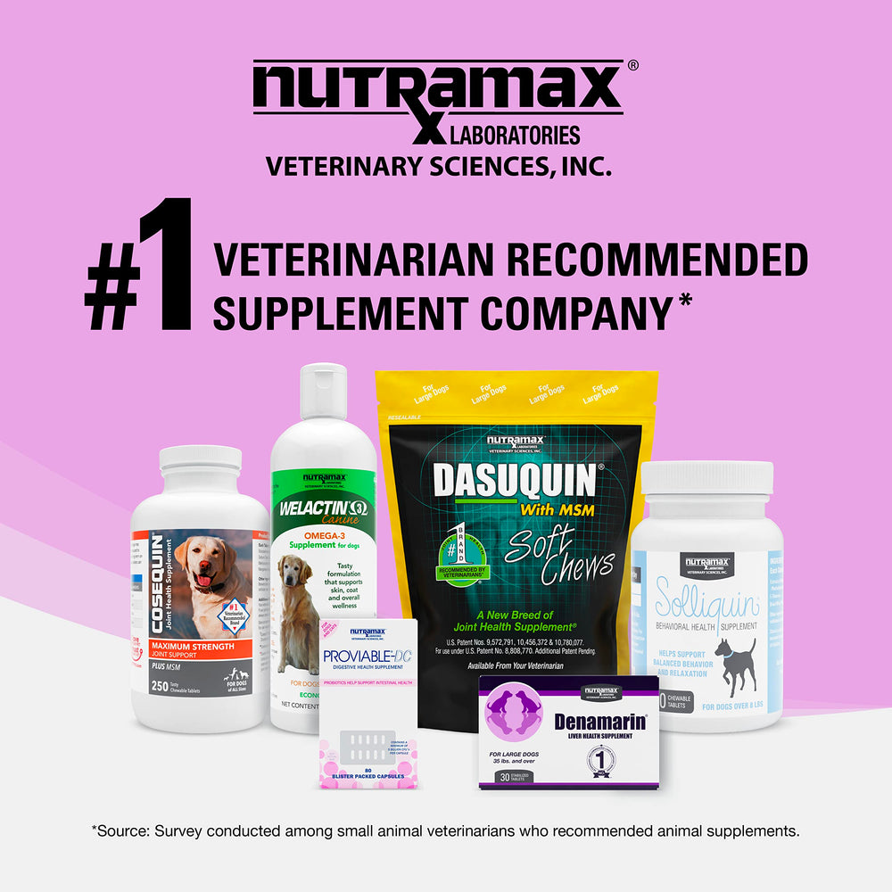 Nutramax Denosyl - detail-tablette, met en évidence la forme et la teneur SAMe.